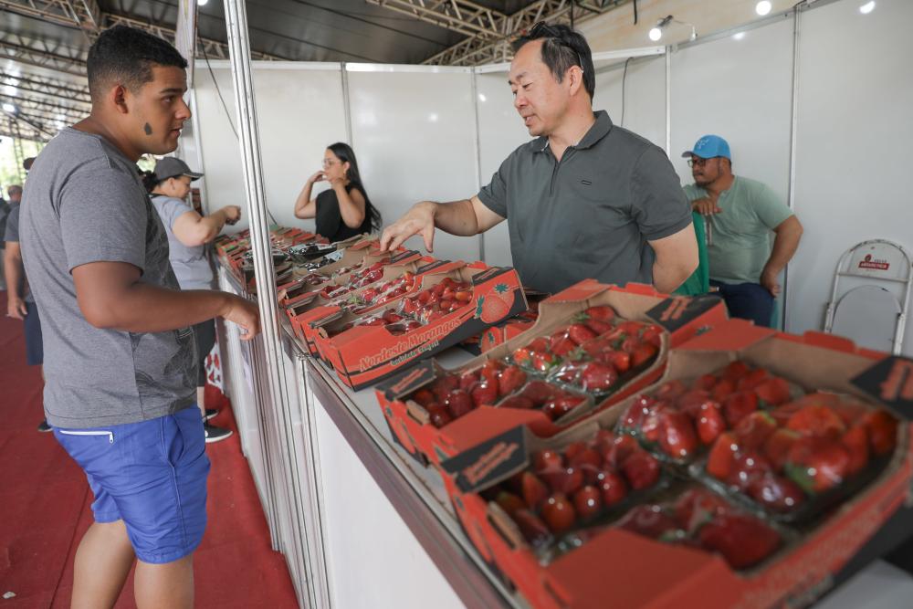 Festa do Morango e Expoabra agitam Brasília, veja programação do fim de semana